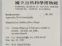 登錄號:F0013098藏品圖，第2張