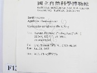 登錄號:F0013099藏品圖，第2張