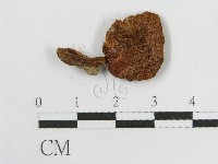 登錄號:F0013099藏品圖，第3張