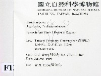登錄號:F0013100藏品圖，第2張
