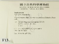 登錄號:F0013101藏品圖，第2張