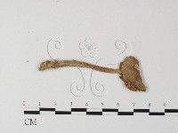 登錄號:F0013101藏品圖，第3張