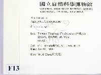 登錄號:F0013102藏品圖，第2張