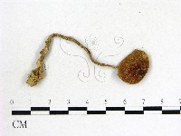 登錄號:F0013102藏品圖，第1張