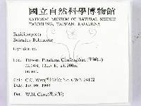 登錄號:F0013103藏品圖，第2張