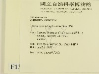 登錄號:F0013104藏品圖，第2張