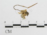 登錄號:F0013104藏品圖，第3張