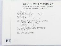 登錄號:F0013106藏品圖，第2張