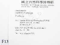 鬼傘屬藏品圖，第2張