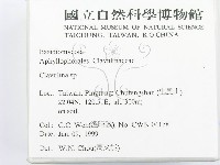 登錄號:F0013109藏品圖，第2張