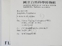登錄號:F0013110藏品圖，第2張