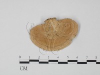 登錄號:F0013112藏品圖，第3張