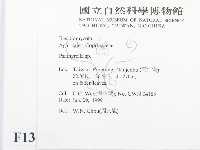 登錄號:F0013114藏品圖，第2張