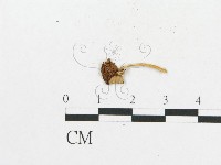 登錄號:F0013114藏品圖，第3張