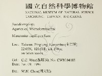 登錄號:F0013116藏品圖，第2張