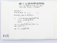 登錄號:F0013117藏品圖，第2張