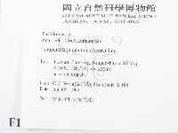 登錄號:F0013119藏品圖，第2張