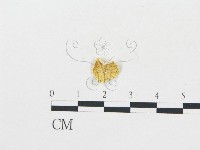 登錄號:F0013119藏品圖，第3張