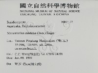 登錄號:F0013122藏品圖，第2張