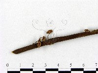 登錄號:F0013122藏品圖，第3張