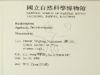 小皮傘屬藏品圖，第2張
