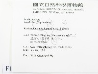 登錄號:F0013124藏品圖，第2張