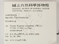 小皮傘屬藏品圖，第2張