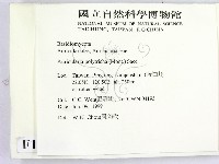 毛木耳藏品圖，第2張