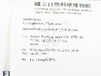 登錄號:F0013130藏品圖，第2張
