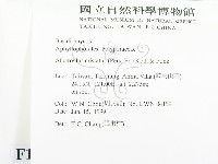 登錄號:F0013130藏品圖，第3張