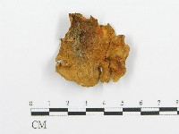 登錄號:F0013130藏品圖，第1張