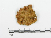 登錄號:F0013130藏品圖，第4張
