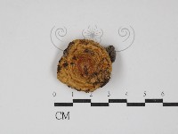 登錄號:F0013132藏品圖，第1張