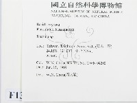 紅菇屬藏品圖，第2張