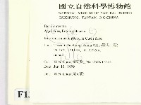 登錄號:F0013134藏品圖，第2張
