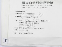 登錄號:F0013136藏品圖，第2張