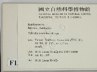 登錄號:F0013137藏品圖，第2張