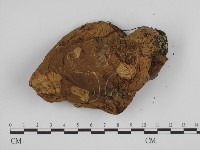 登錄號:F0013137藏品圖，第3張