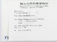 登錄號:F0013138藏品圖，第2張