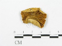 登錄號:F0013138藏品圖，第1張