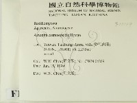 登錄號:F0013139藏品圖，第2張