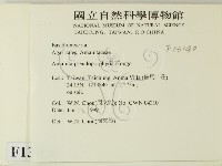登錄號:F0013140藏品圖，第2張