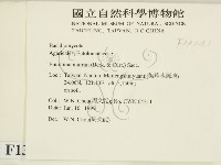 登錄號:F0013141藏品圖，第2張
