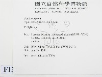 登錄號:F0013142藏品圖，第2張