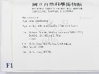登錄號:F0013144藏品圖，第2張
