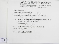 登錄號:F0013146藏品圖，第2張