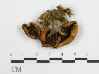 登錄號:F0013146藏品圖，第3張