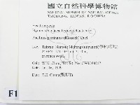 登錄號:F0013147藏品圖，第2張
