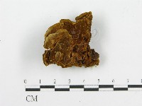 登錄號:F0013147藏品圖，第3張