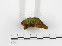 登錄號:F0013147藏品圖，第5張